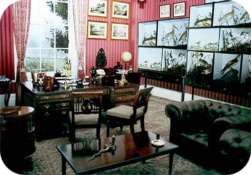 the study at stenham hall